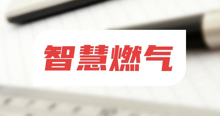 解碼智慧燃?xì)猓簭募夹g(shù)賦能到場景革新的多維圖景
