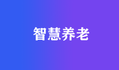 “物聯網+大數據”視閾下的智慧養老模式探究